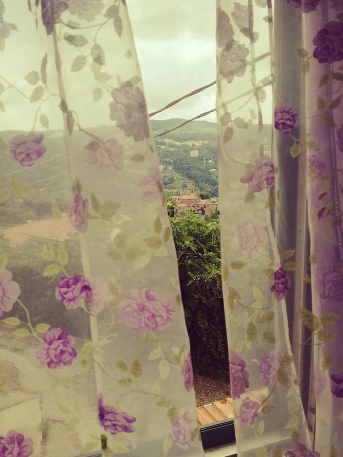 B&B La Rondinella Montecerboli Εξωτερικό φωτογραφία